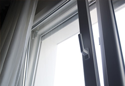 Historic Windows in St. Louis