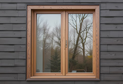 Wood Clad Windows